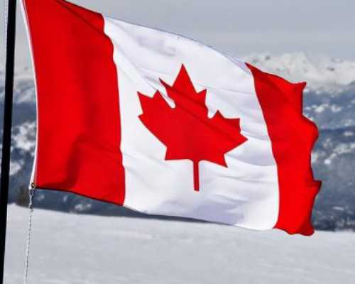 移民加拿大多难（加拿大留学移民政策）